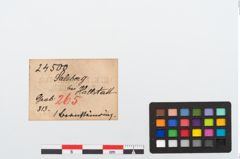 Etikett zu Bernsteinring (NHMW-PRAE-024500)